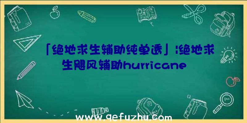 「绝地求生辅助纯单透」|绝地求生飓风辅助hurricane